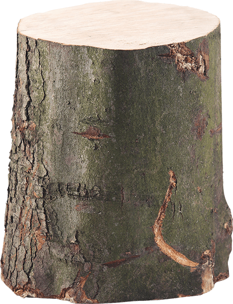 Log Shed Chopping Block