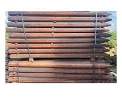 POSTS: 100mm x 2100mm
