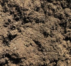 Rotted Horse Manure for Gardens